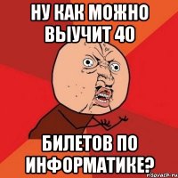 ну как можно выучит 40 билетов по информатике?