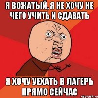 я вожатый, я не хочу не чего учить и сдавать я хочу уехать в лагерь прямо сейчас