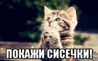  покажи сисечки!