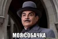  моя собачка