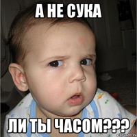 а не сука ли ты часом???