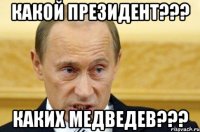 какой президент??? каких медведев???