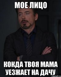 мое лицо кокда твоя мама уезжает на дачу