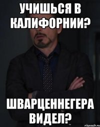 учишься в калифорнии? шварценнегера видел?