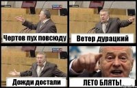 Чертов пух повсюду Ветер дурацкий Дожди достали ЛЕТО БЛЯТЬ!