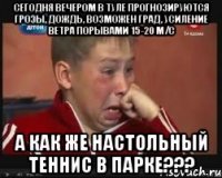 сегодня вечером в туле прогнозируются грозы, дождь, возможен град, усиление ветра порывами 15-20 м/с а как же настольный теннис в парке???