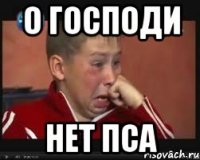 о господи нет пса