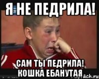 я не педрила! сам ты педрила! кошка ебанутая