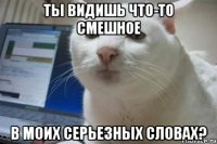 ты видишь что-то смешное в моих серьезных словах?