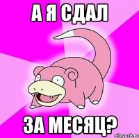 а я сдал за месяц?