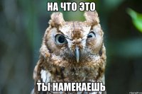 на что это ты намекаешь