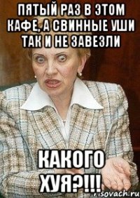 пятый раз в этом кафе, а свинные уши так и не завезли какого хуя?!!!