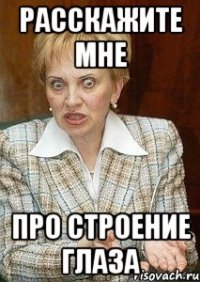 расскажите мне про строение глаза