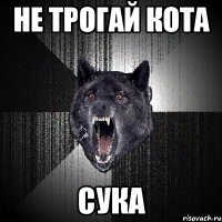 не трогай кота сука