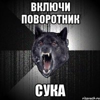 включи поворотник сука