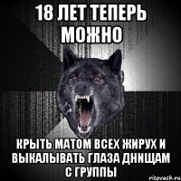 18 лет теперь можно крыть матом всех жирух и выкалывать глаза днищам с группы