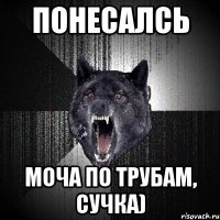 понесалсь моча по трубам, сучка)