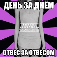 день за днём отвес за отвесом