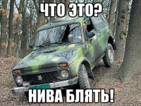 что это? нива блять!