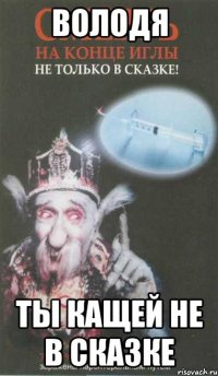 володя ты кащей не в сказке