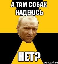 а там собак надеюсь нет?