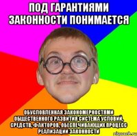 под гарантиями законности понимается обусловленная закономерностями общественного развития система условий, средств, факторов, обеспечивающих процесс реализации законности