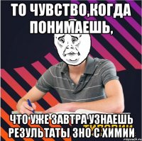 то чувство,когда понимаешь, что уже завтра узнаешь результаты зно с химии