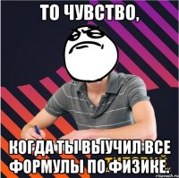 то чувство, когда ты выучил все формулы по физике.