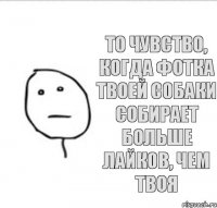 то чувство, когда фотка твоей собаки собирает больше лайков, чем твоя