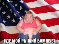  где мой рыжий бамжует