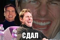  сдал