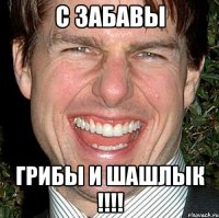 с забавы грибы и шашлык !!!