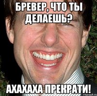 бревер, что ты делаешь? ахахаха прекрати!