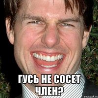  гусь не сосет член?