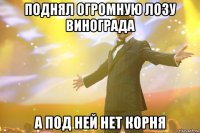 поднял огромную лозу винограда а под ней нет корня