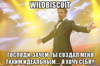 wildbiscuit господи, зачем ты создал меня таким идеальным.... я хочу себя!!