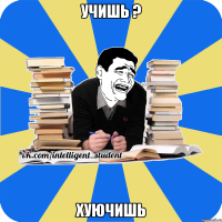 учишь ? хуючишь