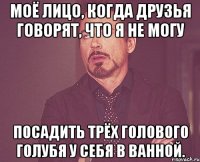 моё лицо, когда друзья говорят, что я не могу посадить трёх голового голубя у себя в ванной.