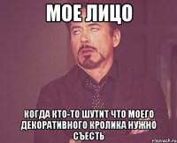 мое лицо когда кто-то шутит что моего декоративного кролика нужно съесть