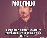 мое лицо когда кто-то шутит, что моего декоративного кролика нужно съесть