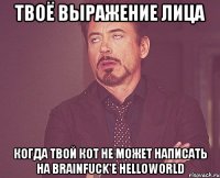 твоё выражение лица когда твой кот не может написать на brainfuck'e helloworld