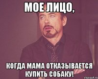 мое лицо, когда мама отказывается купить собаку!