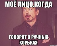 моё лицо,когда говорят о ручных хорьках
