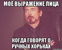 моё выражение лица когда говорят о ручных хорьках