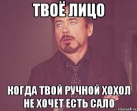 твоё лицо когда твой ручной хохол не хочет есть сало