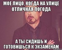 мое лицо, когда на улице отличная погода а ты сидишь и готовишься к экзаменам