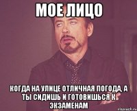 мое лицо когда на улице отличная погода, а ты сидишь и готовишься к экзаменам