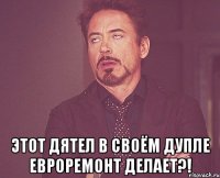  этот дятел в своём дупле евроремонт делает?!