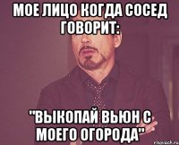 мое лицо когда сосед говорит: "выкопай вьюн с моего огорода"