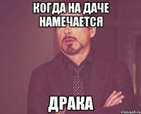 когда на даче намечается драка